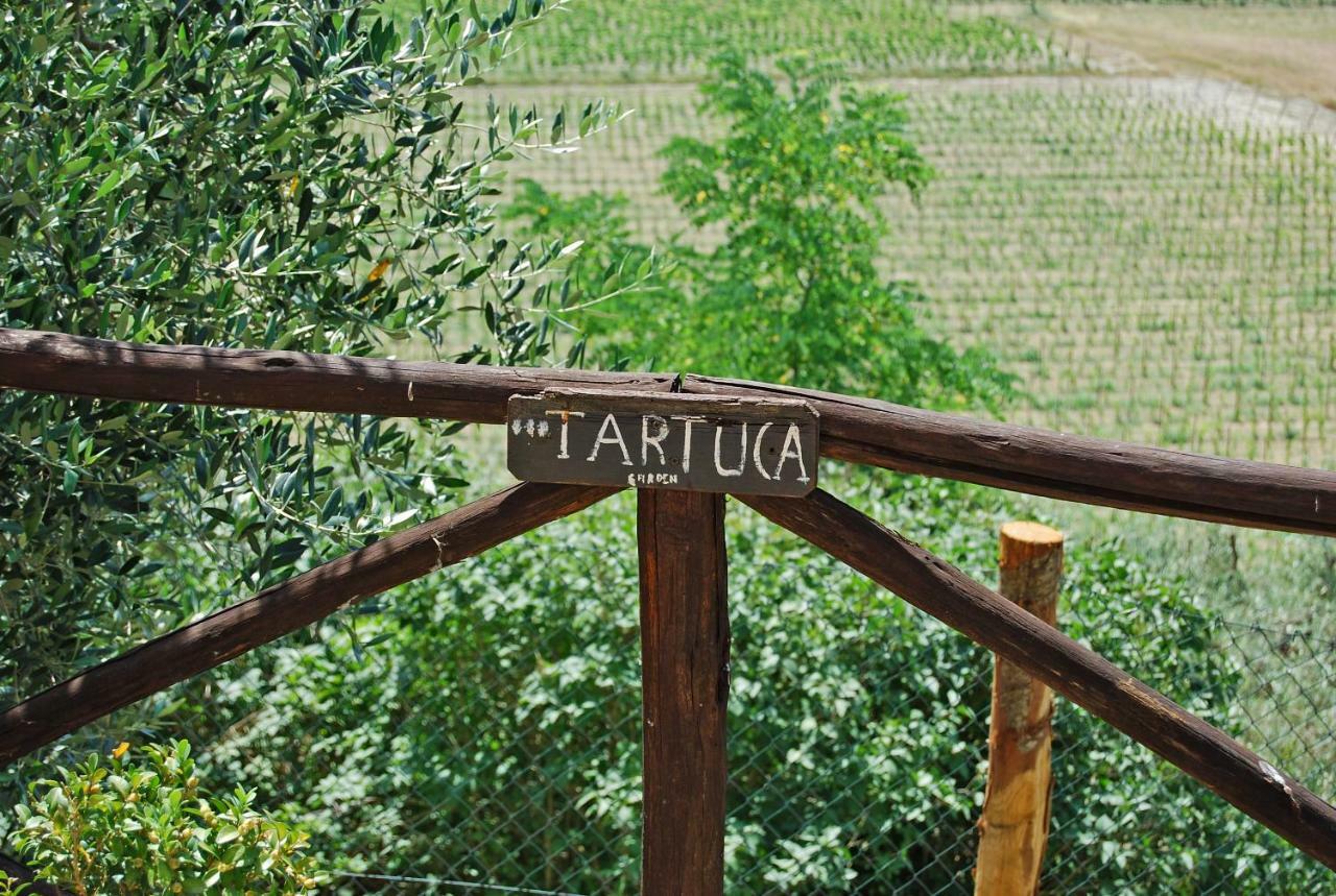 Apartamento Podere Remignoli San Gimignano Exterior foto